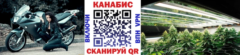 Где купить Белокуриха АМФ МЕФ A PVP ГАШ КОКАИН Бошки Шишки