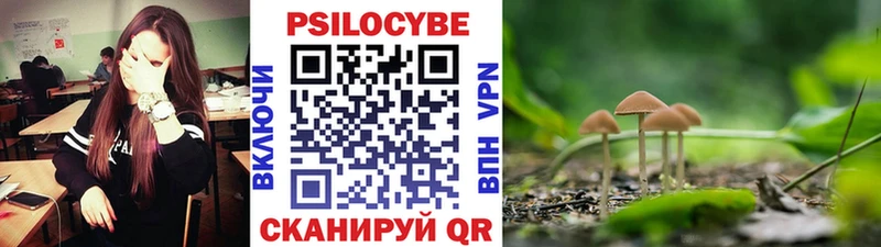 Псилоцибиновые грибы прущие грибы  Белокуриха 