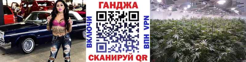 где продают наркотики  Белокуриха  Каннабис планчик 